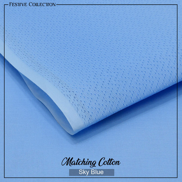Naqsh Festive Hard Cotton - 2pcs - Sky Blue - FHC06