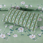 Alteza Cotton Bed Sheet - King - 3pcs - ABS661