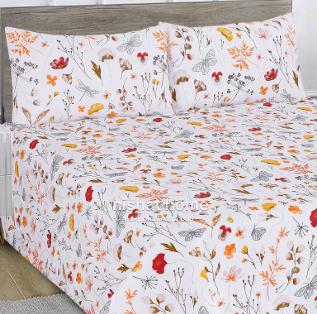 Divine Pure Cotton Bed Sheet - King - 3pcs - DBS310