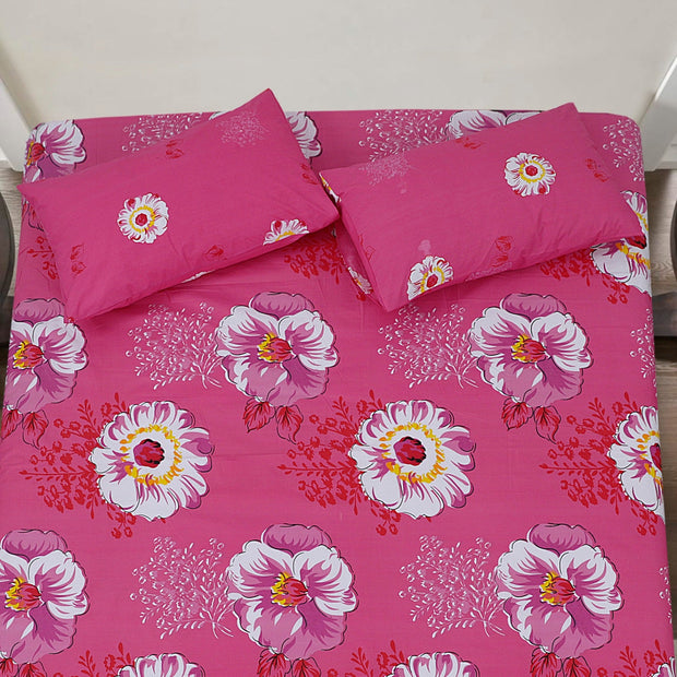 Divine Pure Cotton Bed Sheet - King - 3pcs - DBS257