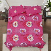 Divine Pure Cotton Bed Sheet - King - 3pcs - DBS257