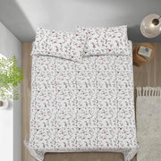 Divine Pure Cotton Bed Sheet - King - 3pcs - DBS271