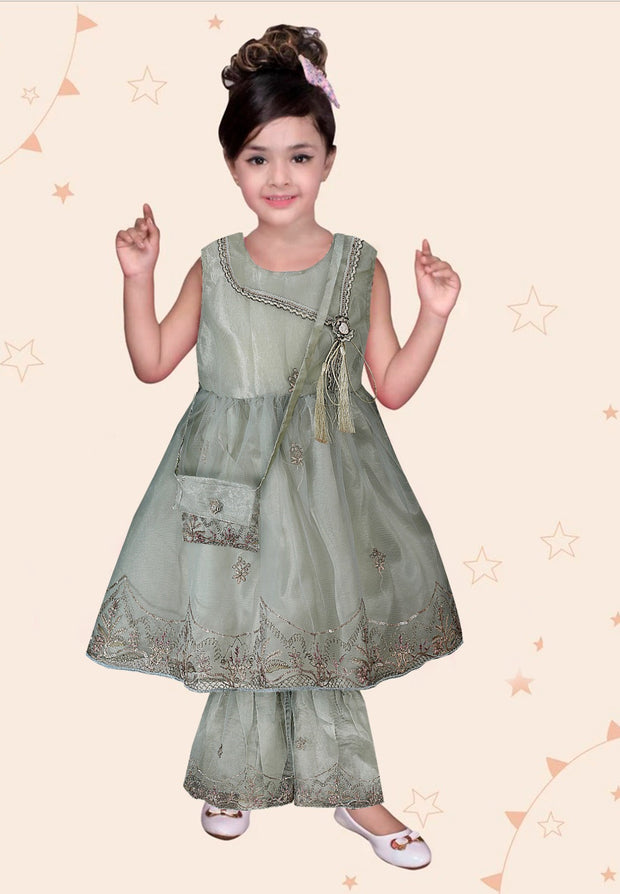 Baby Girl Frock - Net Embroidered Silk - 2pcs - BGF11