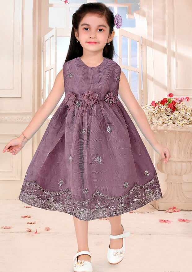 Baby Girl Frock - Net Embroidered Silk - BGF14